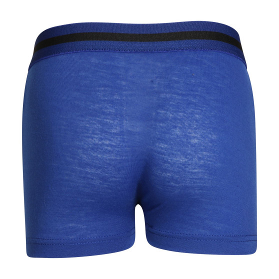 5PACK Gianvaglia lasten boxershortsit moniväriset (023)