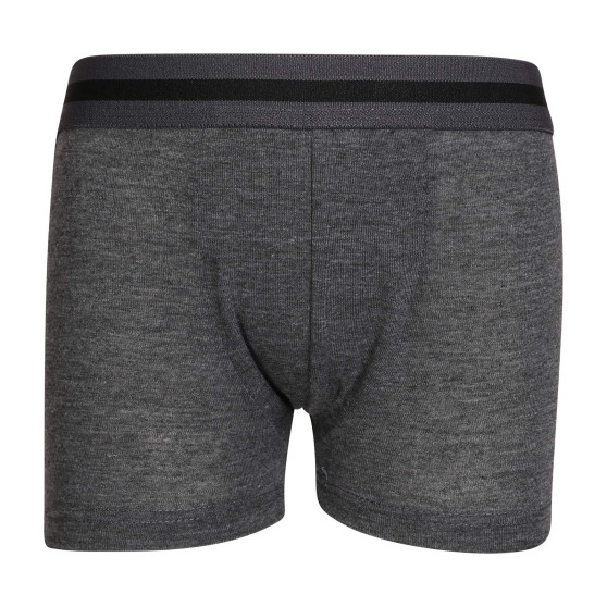 5PACK Gianvaglia lasten boxershortsit moniväriset (023)