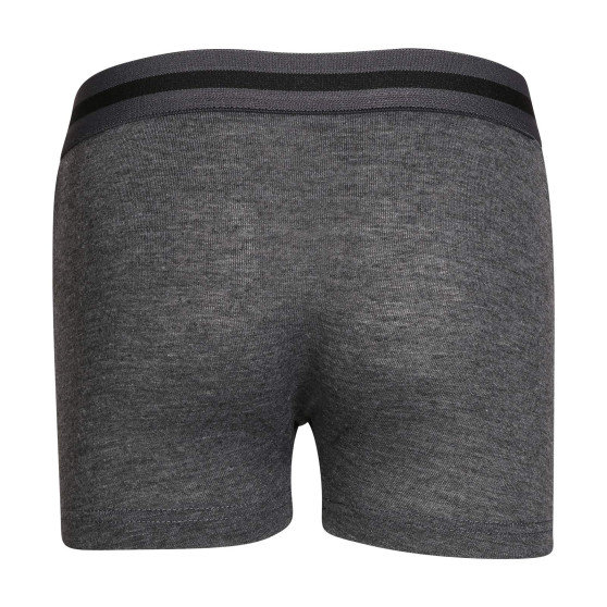 5PACK Gianvaglia lasten boxershortsit moniväriset (023)