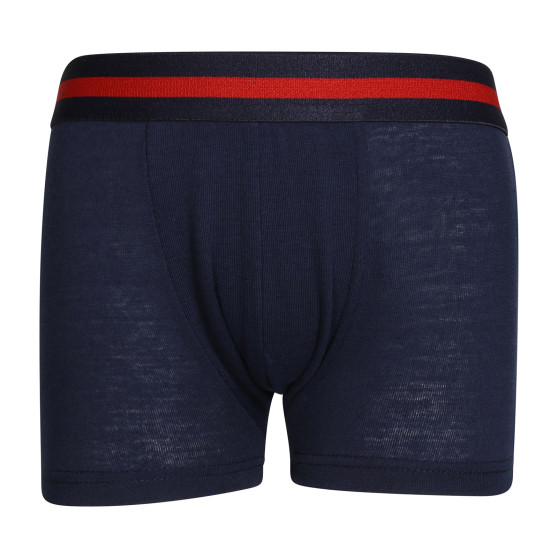 5PACK Gianvaglia lasten boxershortsit moniväriset (023)