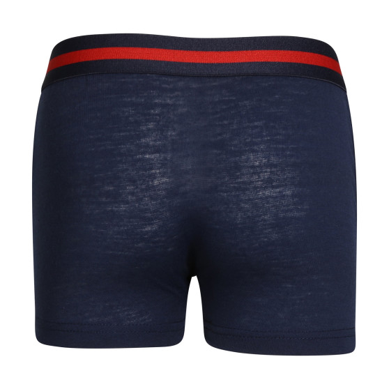 5PACK Gianvaglia lasten boxershortsit moniväriset (023)