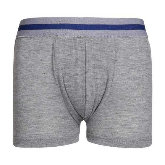 5PACK Gianvaglia lasten boxershortsit moniväriset (023)