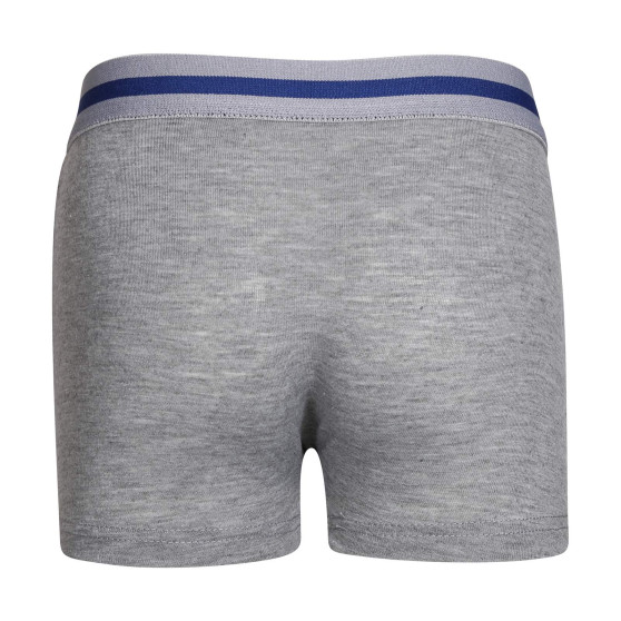 5PACK Gianvaglia lasten boxershortsit moniväriset (023)