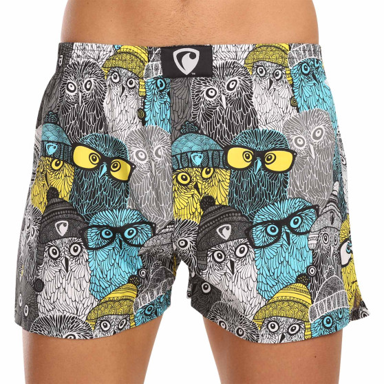 Represent Miesten bokserishortsit yksinoikeudella Ali Owls Cool (R3M-BOX-0642)