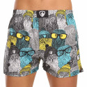 Represent Miesten bokserishortsit yksinoikeudella Ali Owls Cool (R3M-BOX-0642)