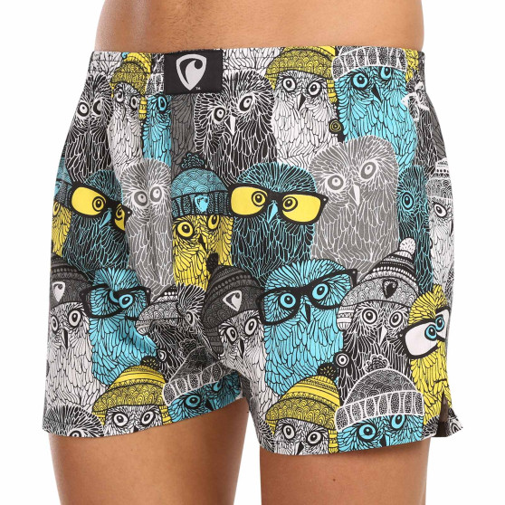 Represent Miesten bokserishortsit yksinoikeudella Ali Owls Cool (R3M-BOX-0642)