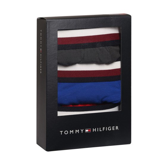 3PACK Tommy Hilfiger miesten bokserit moniväriset shortsit moniväriset (UM0UM03035 0UG)