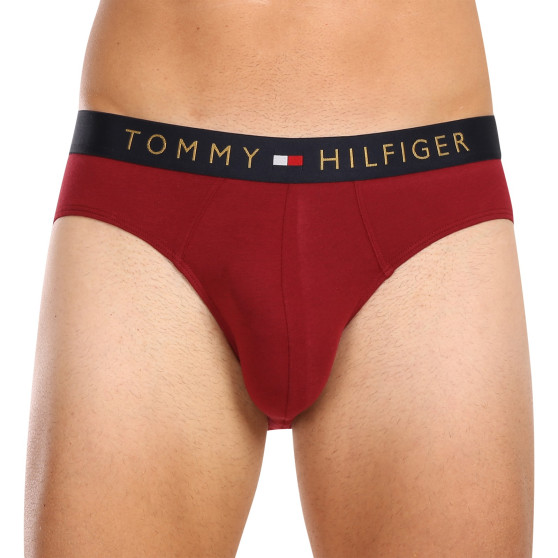 5PACK Tommy Hilfiger miesten alushousut moniväriset (UM0UM03037 0WJ)