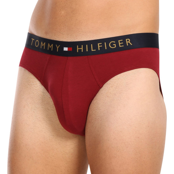 5PACK Tommy Hilfiger miesten alushousut moniväriset (UM0UM03037 0WJ)