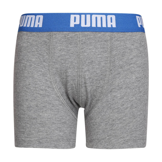 2PACK Puma poikien bokserit moniväriset shortsit (701219336 417)