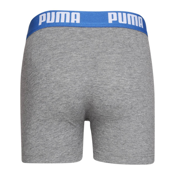 2PACK Puma poikien bokserit moniväriset shortsit (701219336 417)