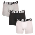 3PACK Calvin Klein miesten bokserit moniväriset shortsit moniväriset (NB3609A-MP1)