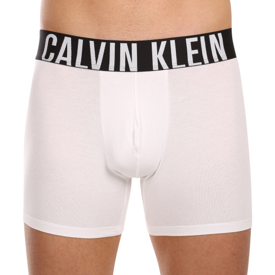 3PACK Calvin Klein miesten bokserit moniväriset shortsit moniväriset (NB3609A-MP1)