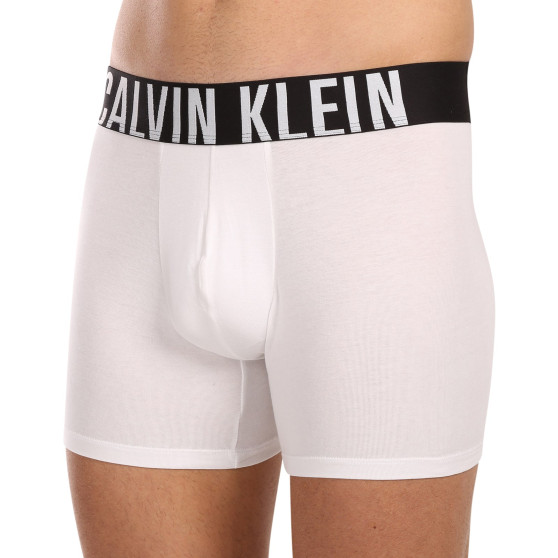 3PACK Calvin Klein miesten bokserit moniväriset shortsit moniväriset (NB3609A-MP1)