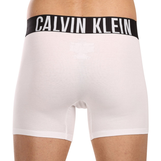 3PACK Calvin Klein miesten bokserit moniväriset shortsit moniväriset (NB3609A-MP1)