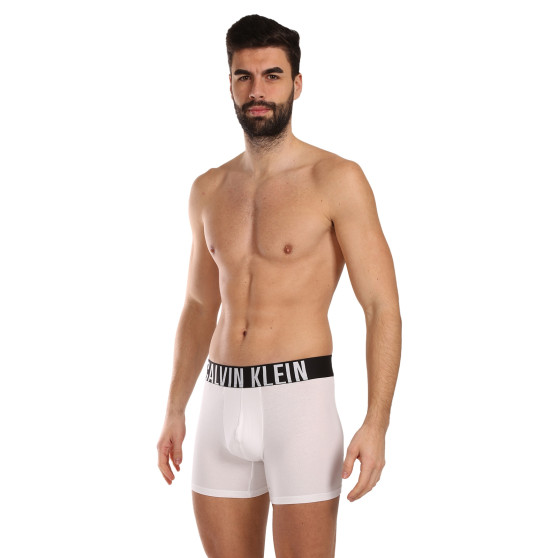 3PACK Calvin Klein miesten bokserit moniväriset shortsit moniväriset (NB3609A-MP1)