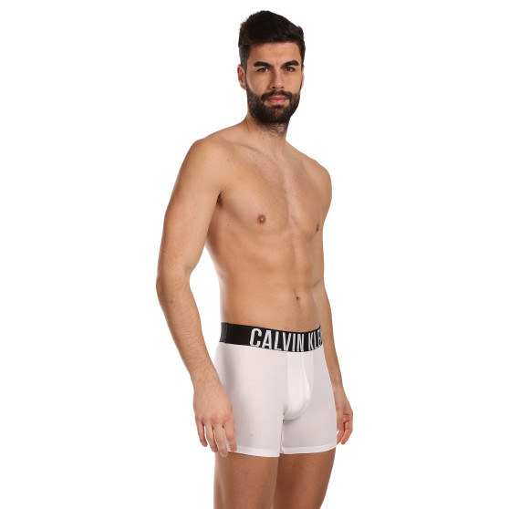 3PACK Calvin Klein miesten bokserit moniväriset shortsit moniväriset (NB3609A-MP1)