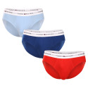 3PACK Tommy Hilfiger miesten alushousut moniväriset (UM0UM02764 0XZ)