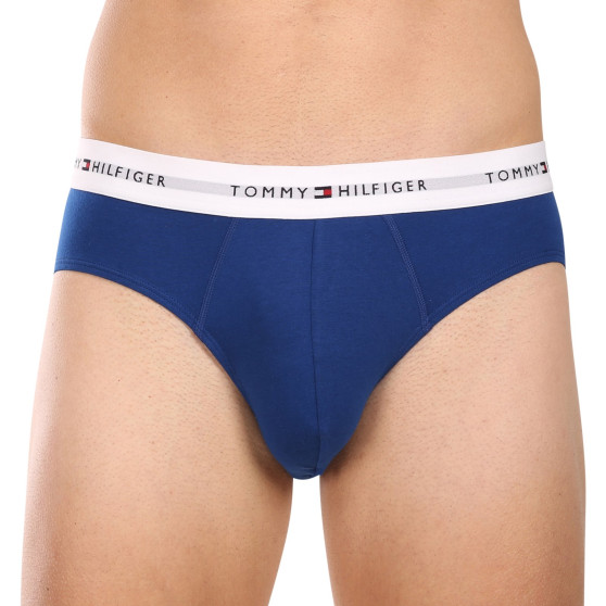 3PACK Tommy Hilfiger miesten alushousut moniväriset (UM0UM02764 0XZ)