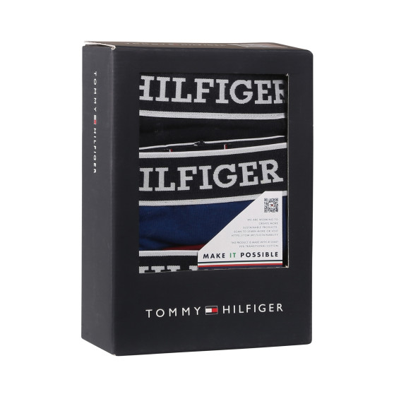 3PACK Tommy Hilfiger miesten bokserit moniväriset shortsit moniväriset (UM0UM03185 0SX)