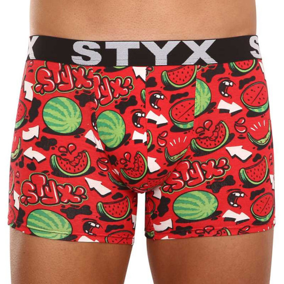 5PACK Styx miesten bokserit shortsit pitkä taide urheilu elastinen monivärinen (5U1267924)