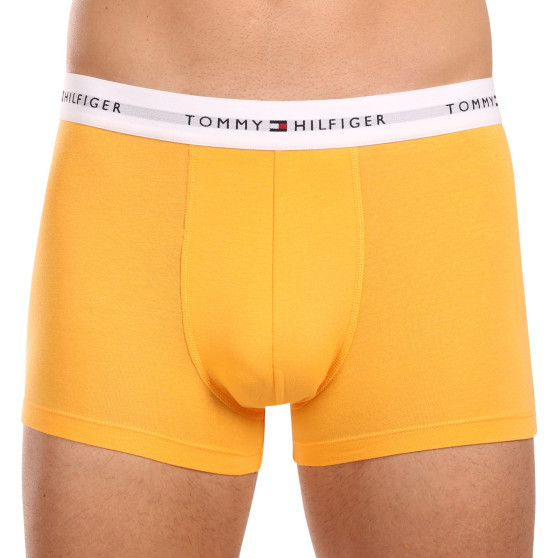 3PACK Tommy Hilfiger miesten bokserit moniväriset shortsit moniväriset (UM0UM02761 0VI)