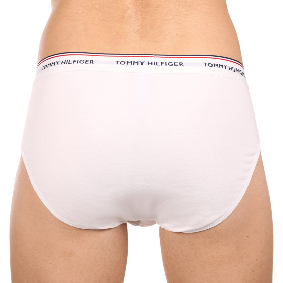 3PACK Tommy Hilfiger miesten alushousut moniväriset (1U87903766 004)