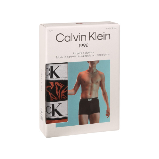 3PACK Calvin Klein miesten bokserit moniväriset shortsit moniväriset (NB3528E-MRW)