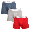 3PACK Calvin Klein miesten bokserit moniväriset shortsit moniväriset (NB2381A-N2I)