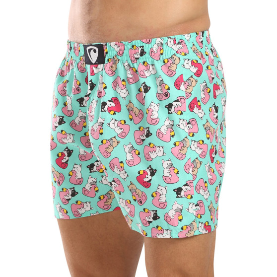 Represent Miesten shortsit yksinoikeudella Ali Bulldog Uiminen (R4M-BOX-0611)