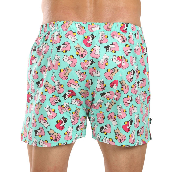 Represent Miesten shortsit yksinoikeudella Ali Bulldog Uiminen (R4M-BOX-0611)