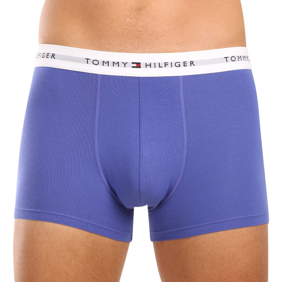 3PACK Tommy Hilfiger miesten bokserit moniväriset shortsit moniväriset (UM0UM02761 0UI)